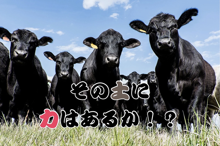 地域資源の循環から生まれた堆肥「キャトルパワー」