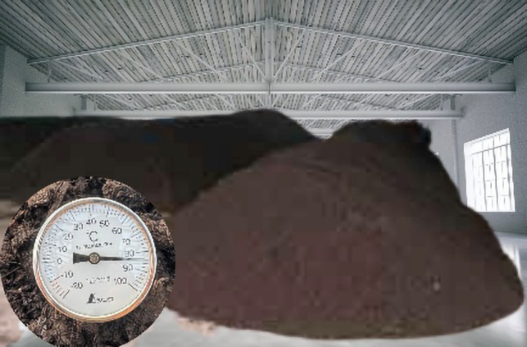 お知らせ記事写真